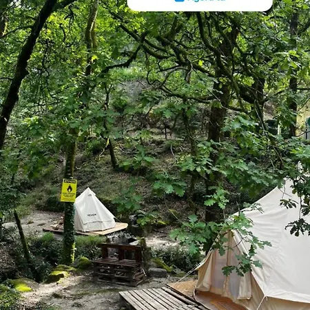 Tenda Bell *